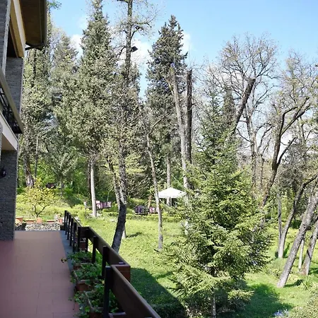 Restaurant Dreri 4*