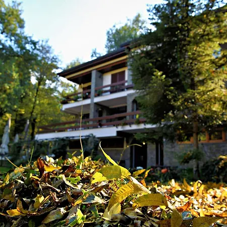 Restaurant Dreri מלון 4*