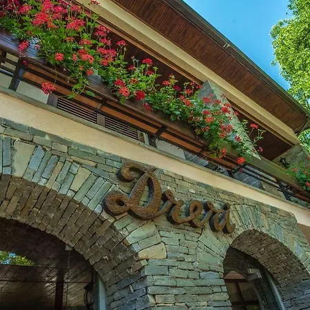 Restaurant Dreri Szálloda Tirana