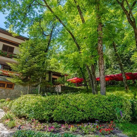 Restaurant Dreri מלון