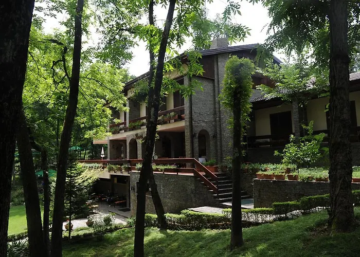 Restaurant Dreri 4*