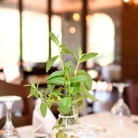 Restaurant Dreri