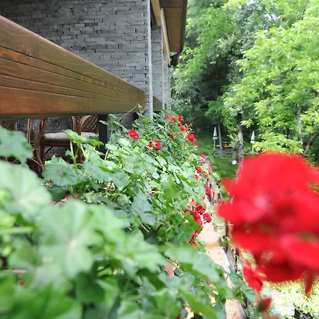 Restaurant Dreri Hotel 4*