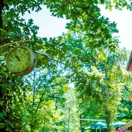 Hotel Restaurant Dreri Tirana